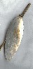 Antique Fishing Lure, the Chapman Pickerel Size 4
